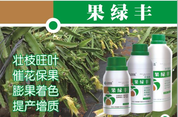 果綠豐