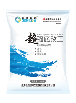 超強底改王